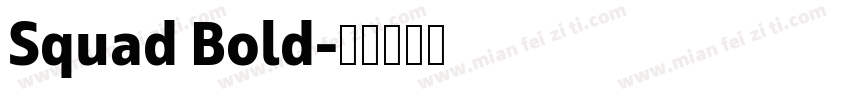 Squad Bold字体转换